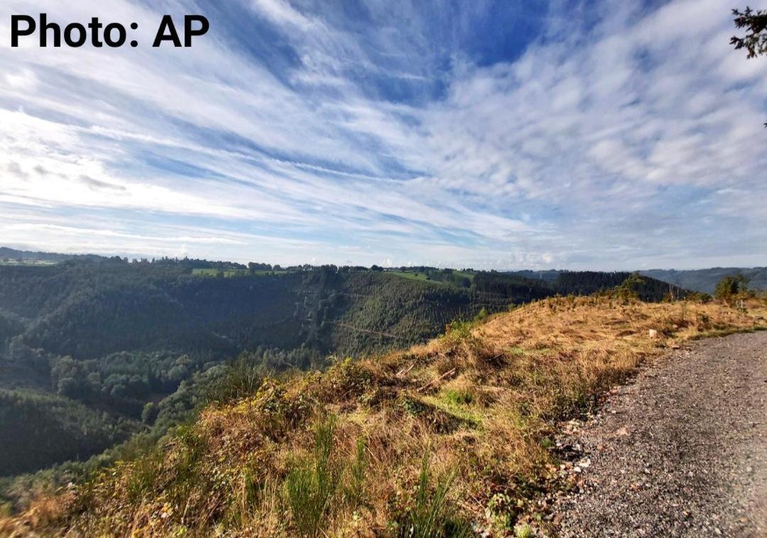 La Taniere Du Lac Robertville Dış mekan fotoğraf